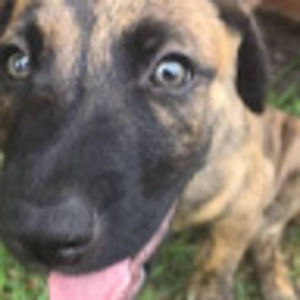 Meet your Posher, Skylah